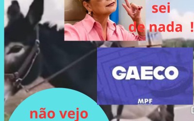Advogados reclamam do que só o Campo Grande News tem 