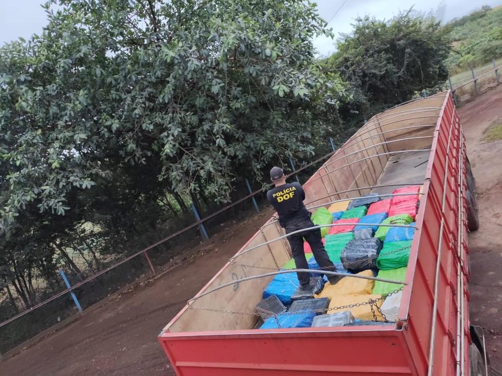 Carreta com carga de arroz em MS escondia 7,7 toneladas de maconha e mais 14 kg de skank, afirma polícia em Sidrolândia. Carreta com carga de arroz em MS escondia 7,7 toneladas de maconha e mais 14 kg de skank, afirma polícia em Sidrolândia.