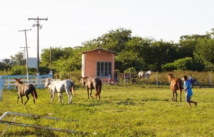 Justiça Federal manda Incra garantir distribuição de água a famílias de assentamento em MS Justiça Federal manda Incra garantir distribuição de água a famílias de assentamento em MS