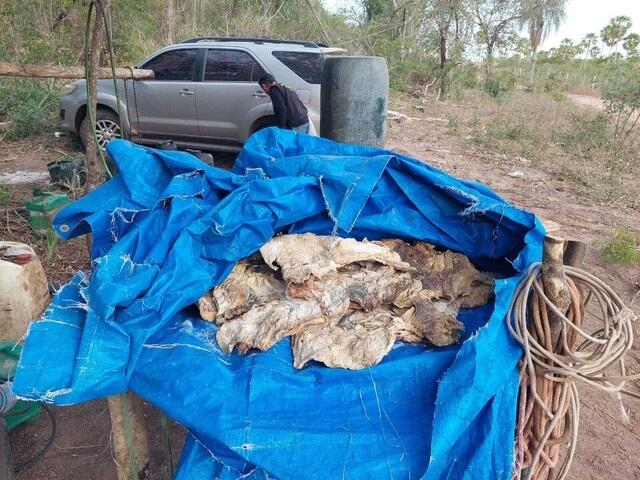 No mato sem água, luz ou banheiro trabalhadores são resgatados em fazenda  No mato sem água, luz ou banheiro trabalhadores são resgatados em fazenda