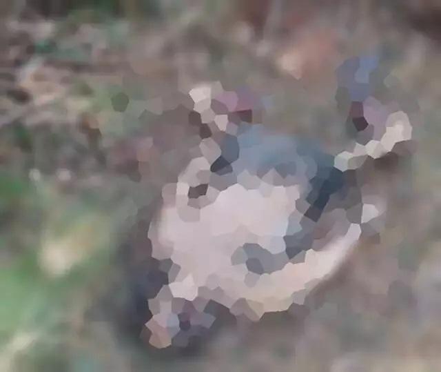 Mãe fará exame de DNA para identificar se corpo boiando é do filho desaparecido  Mãe fará exame de DNA para identificar se corpo boiando é do filho desaparecido