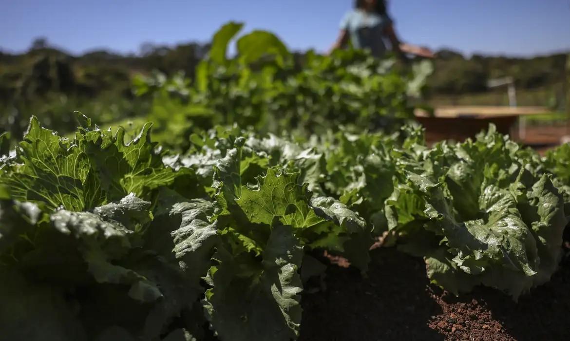 Parceria destina R$ 299 milhões para agricultura familiar na Bahia Parceria destina R$ 299 milhões para agricultura familiar na Bahia