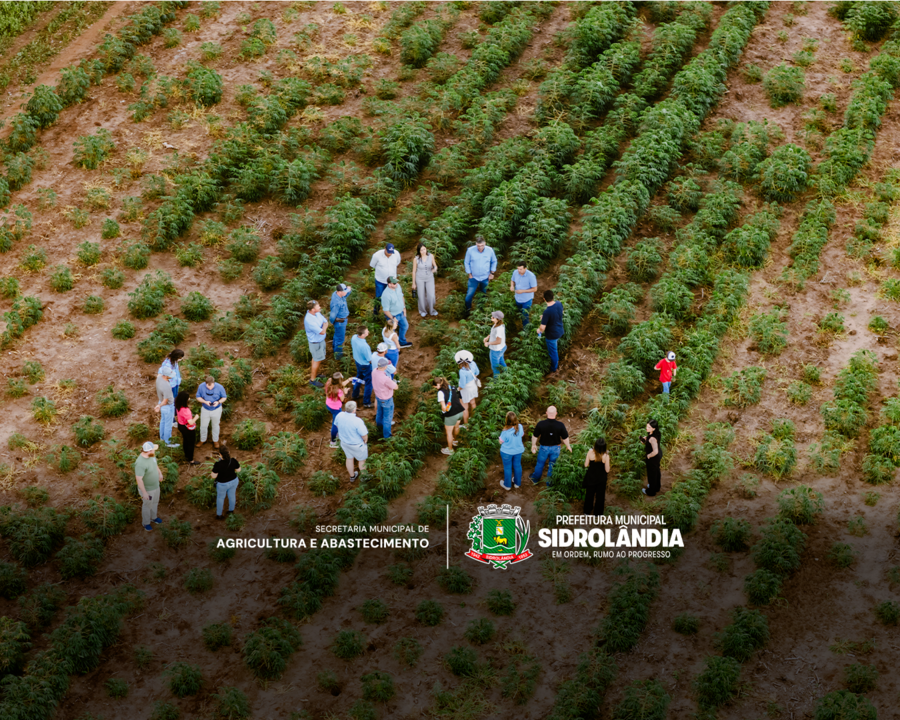 Sidrolândia recebe agricultores do Alabama para visita técnica e intercâmbio sobre produção agrícola Sidrolândia recebe agricultores do Alabama para visita técnica e intercâmbio sobre produção agrícola